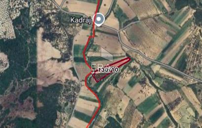 Ayvalık Kırcalarda satılık tarla