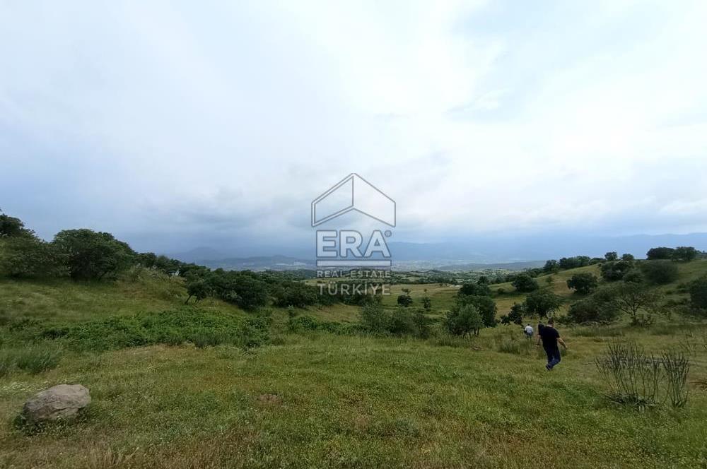 ERA SÖZ DEN BALIKESİR SINDIRGI SATILIK TARLA