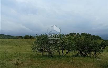 ERA SÖZ DEN BALIKESİR SINDIRGI SATILIK TARLA