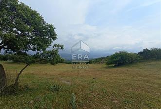 ERA SÖZ DEN BALIKESİR SINDIRGI SATILIK TARLA