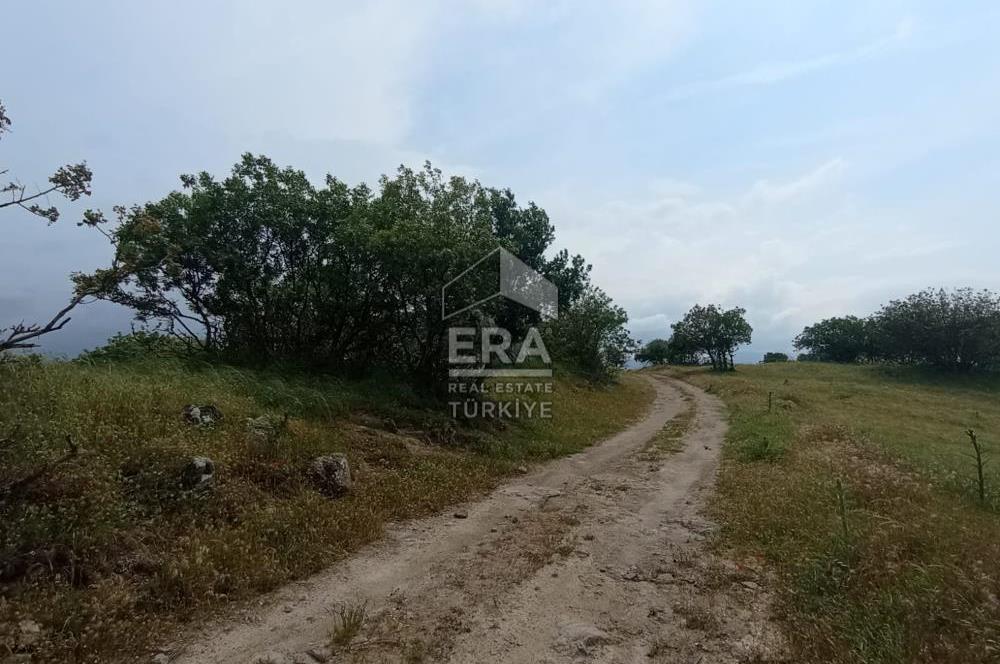 ERA SÖZ DEN BALIKESİR SINDIRGI SATILIK TARLA