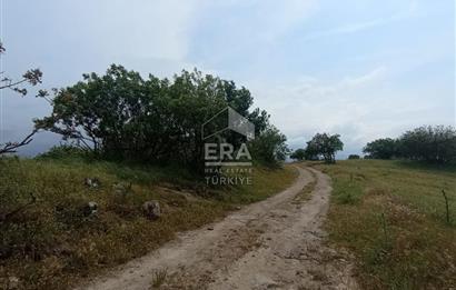 ERA SÖZ DEN BALIKESİR SINDIRGI SATILIK TARLA