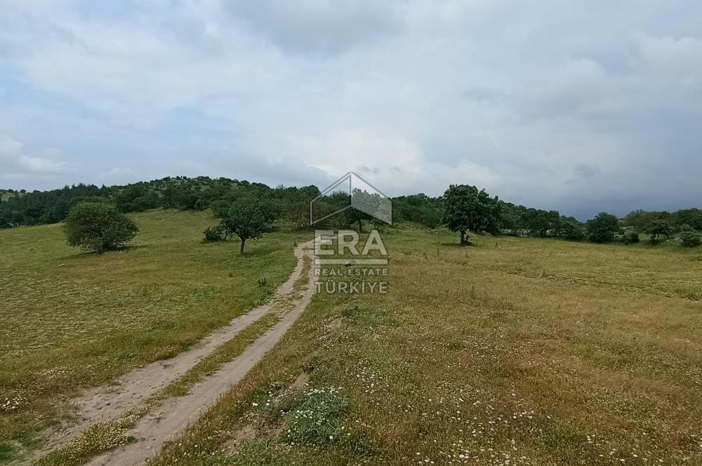ERA SÖZ DEN BALIKESİR SINDIRGI SATILIK TARLA