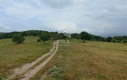 ERA SÖZ DEN BALIKESİR SINDIRGI SATILIK TARLA