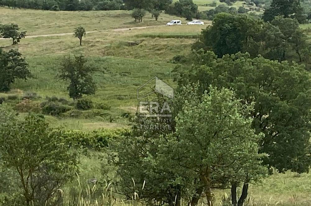 ERA SÖZ DEN BALIKESİR SINDIRGI SATILIK TARLA