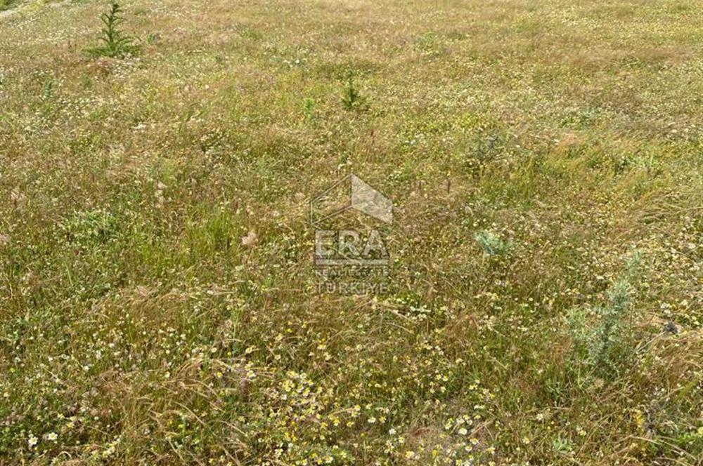 ERA SÖZ DEN BALIKESİR SINDIRGI SATILIK TARLA