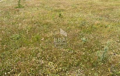 ERA SÖZ DEN BALIKESİR SINDIRGI SATILIK TARLA