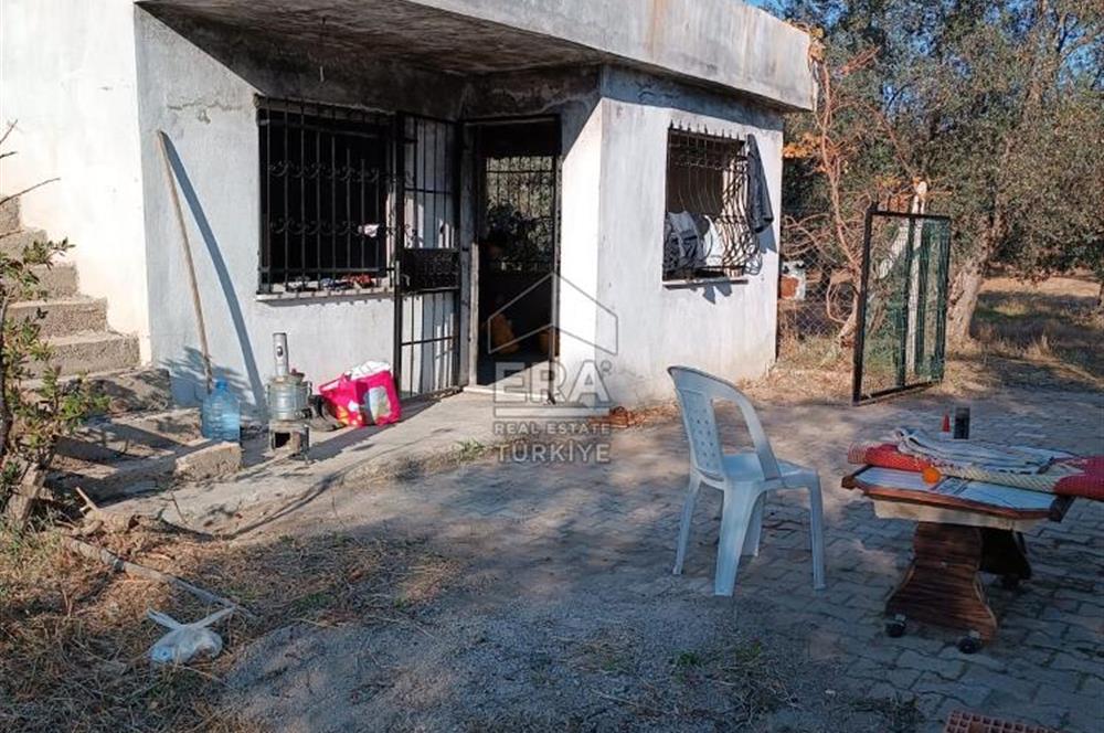   ERA SÖZ GAYRİMENKULDEN BALIKESİR HAVRANDA SATILIK  ZEYTİNLİK  