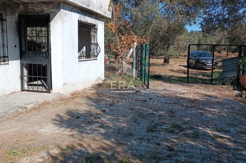   ERA SÖZ GAYRİMENKULDEN BALIKESİR HAVRANDA SATILIK  ZEYTİNLİK  