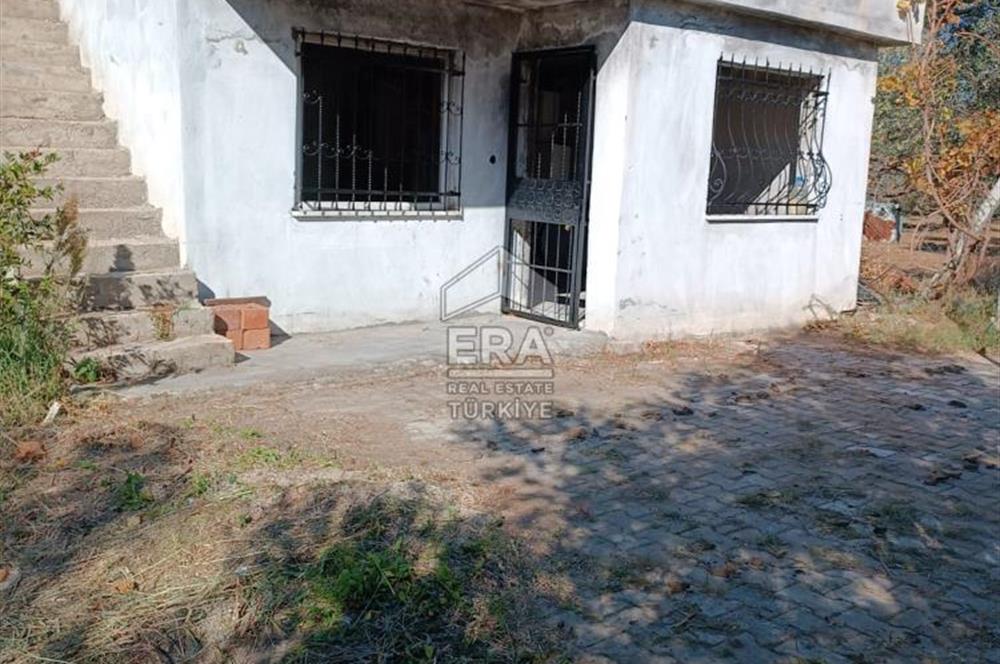   ERA SÖZ GAYRİMENKULDEN BALIKESİR HAVRANDA SATILIK  ZEYTİNLİK  