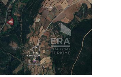 ERA PORT GÜVENCESİYLE BALIKESİR SUSURLUK'TA SATILIK TARLA