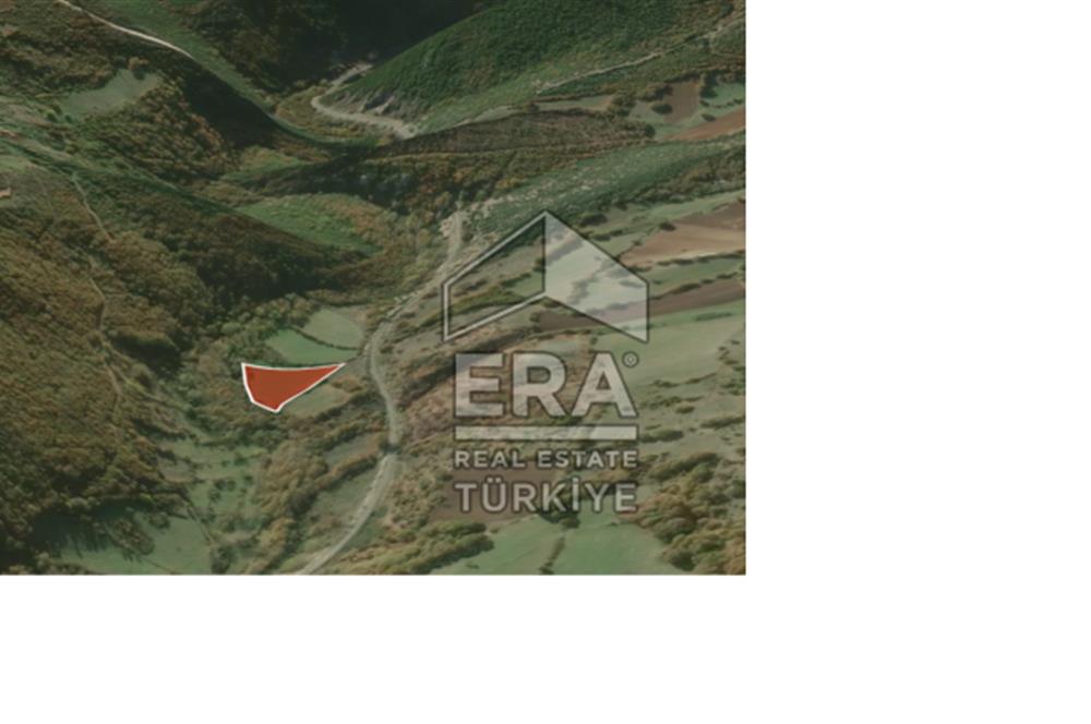 ERA PORT GÜVENCESİYLE BALIKESİR SUSURLUK'TA SATILIK TARLA