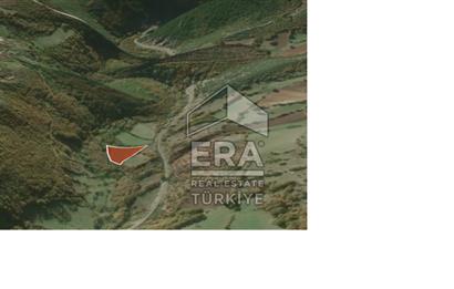 ERA PORT GÜVENCESİYLE BALIKESİR SUSURLUK'TA SATILIK TARLA