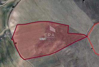 KIRŞEHİR DE 28.5 DÖNÜM UYGUN FİYATLI ARAZİ