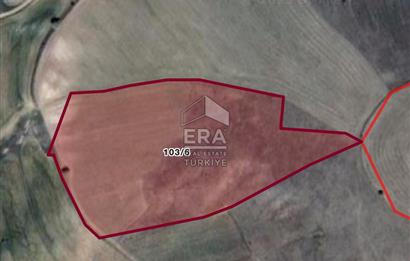 KIRŞEHİR DE 28.5 DÖNÜM UYGUN FİYATLI ARAZİ