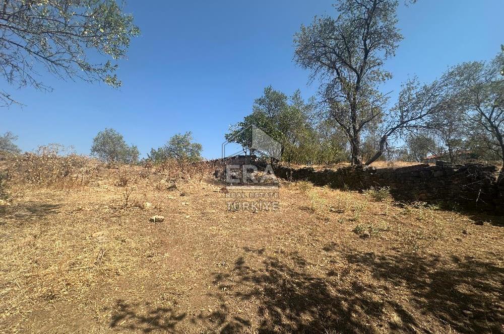 ERA PORT GÜVENCESİYLE SUSURLUK KAYALIDERE'DE TAŞ EV AHIR VE ARSA