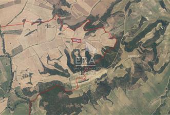 ERA SÖZ DEN ÇANAKKALE GELİBOLUDA SATILIK 4.347,51 M2 TARLA