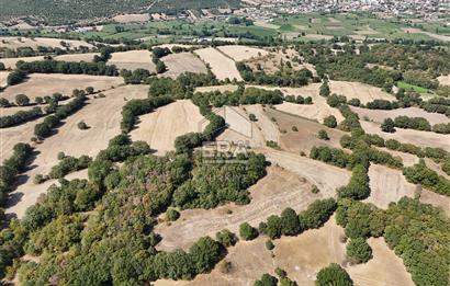 ÇANAKKALE YENİCE ARAOVACIK DA SATILIK BAHÇE