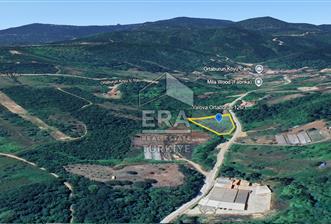 YALOVA ÇINARCIK ORTABURUN KÖYÜ 100m YOLA CEPHELİ SATILIK 3.770m2