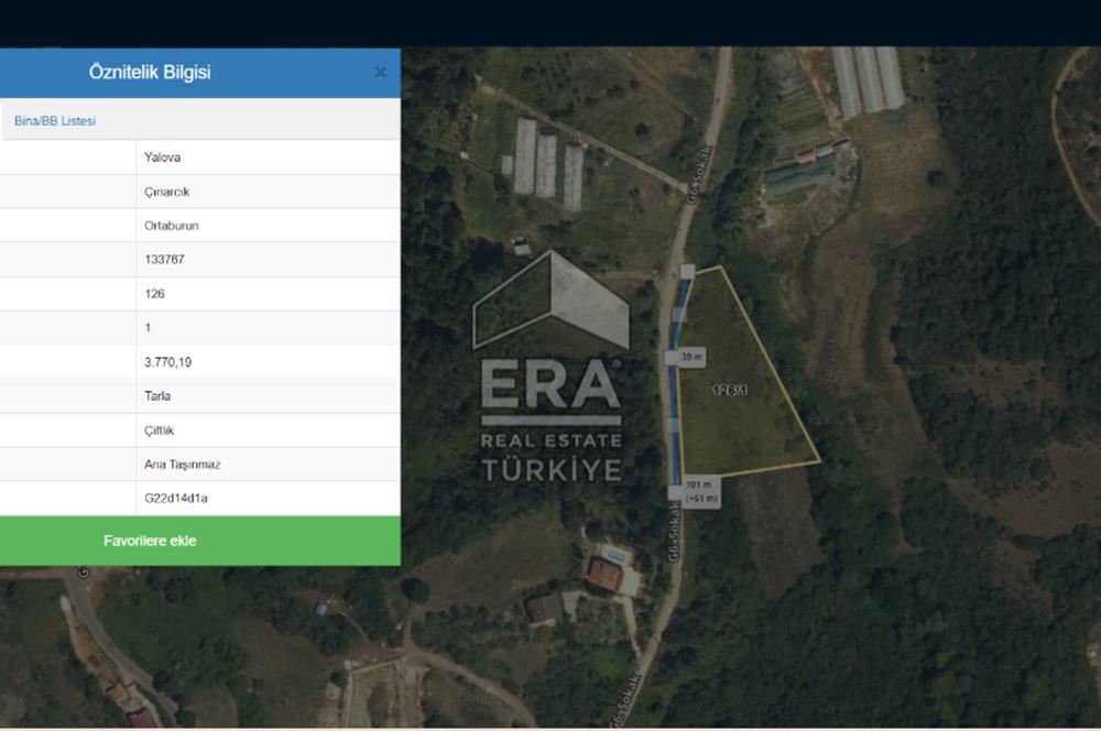 YALOVA ÇINARCIK ORTABURUN KÖYÜ 100m YOLA CEPHELİ SATILIK 3.770m2