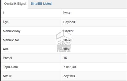 Bayındır Gaziler Mahallesinde Yola Cepheli 8 Dönüm Satılık Zeytinlik