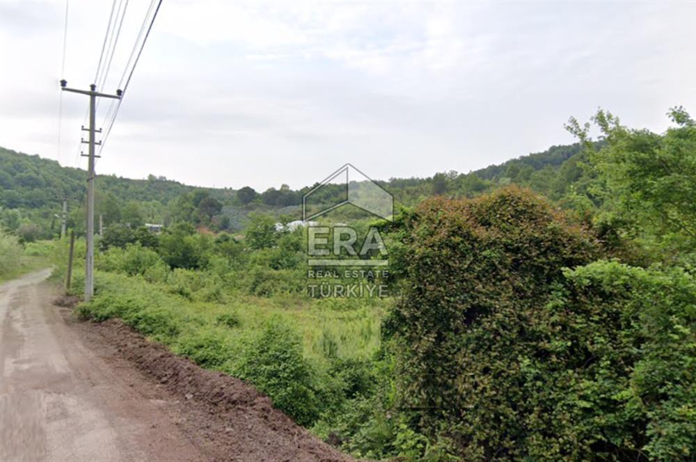 YALOVA ÇINARCIK ORTABURUN KÖYÜ 100m YOLA CEPHELİ SATILIK 3.770m2