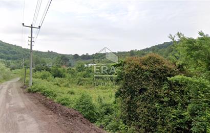 YALOVA ÇINARCIK ORTABURUN KÖYÜ 100m YOLA CEPHELİ SATILIK 3.770m2