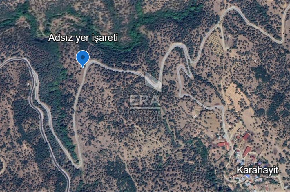 Bayındır Gaziler Mahallesinde Yola Cepheli 8 Dönüm Satılık Zeytinlik