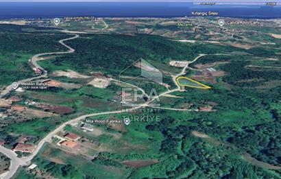 YALOVA ÇINARCIK ORTABURUN KÖYÜ 100m YOLA CEPHELİ SATILIK 3.770m2
