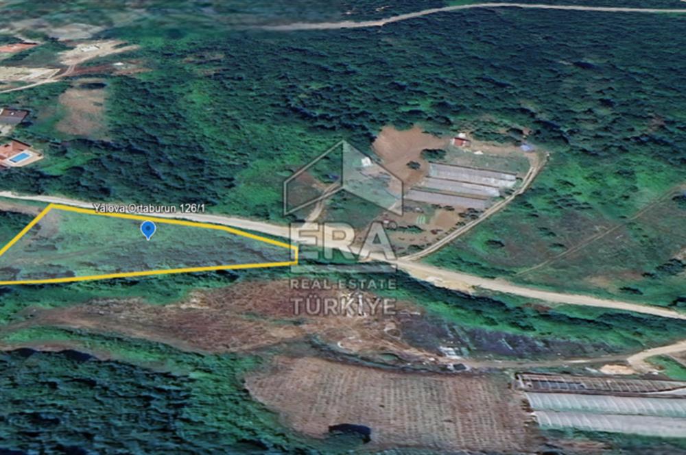 YALOVA ÇINARCIK ORTABURUN KÖYÜ 100m YOLA CEPHELİ SATILIK 3.770m2