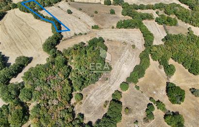ÇANAKKALE YENİCE ARAOVACIK DA SATILIK BAHÇE