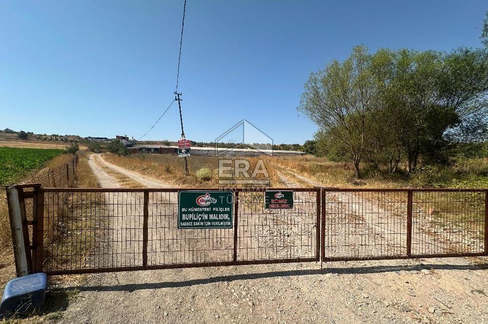 ERA PORT GÜVENCESİYLE BAKACAK'TA SATILIK TAVUK ÇİFTLİĞİ