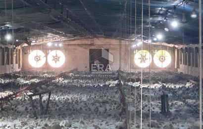 ERA PORT GÜVENCESİYLE BAKACAK'TA SATILIK TAVUK ÇİFTLİĞİ