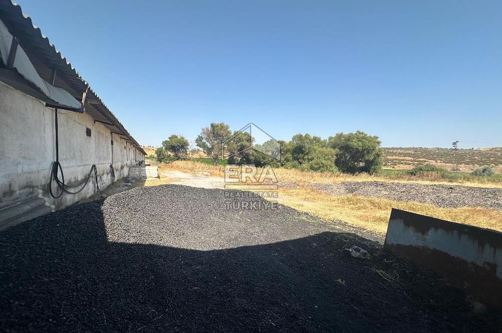 ERA PORT GÜVENCESİYLE BAKACAK'TA SATILIK TAVUK ÇİFTLİĞİ