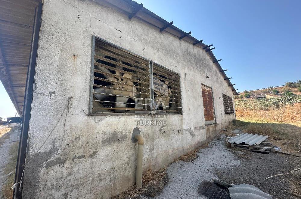 ERA PORT GÜVENCESİYLE BAKACAK'TA SATILIK TAVUK ÇİFTLİĞİ