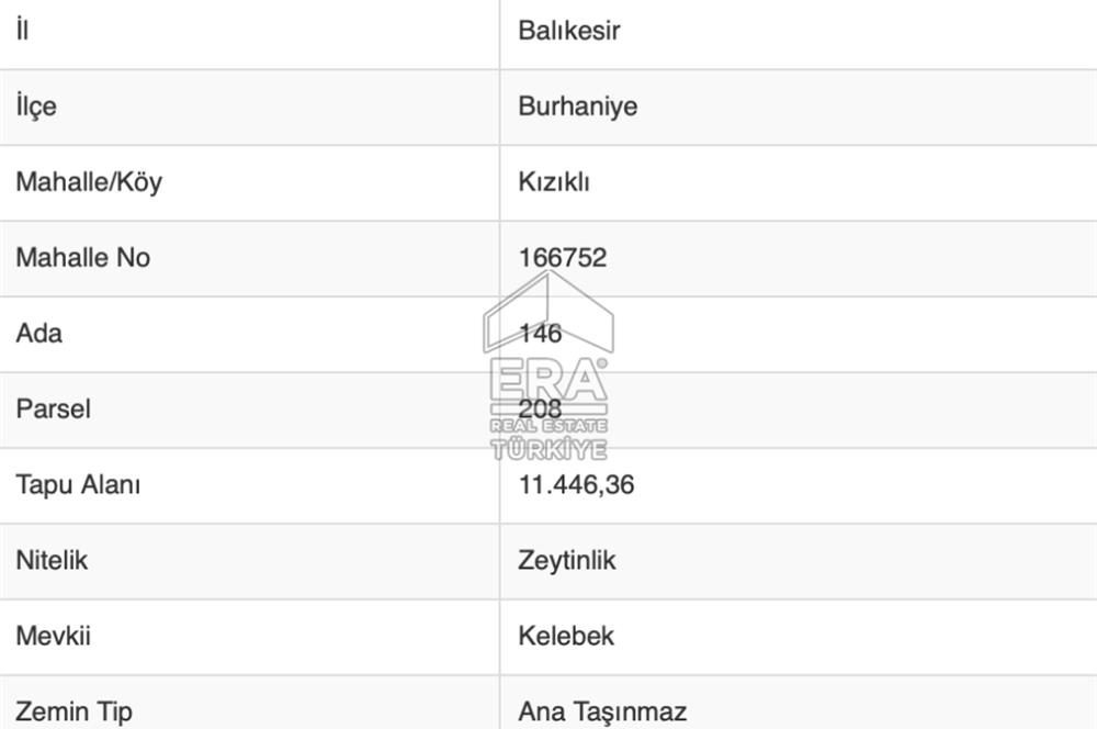 ERA SÖZ DEN BALIKESİR BURHANİYE KIZIKLI DA SATILIK ZEYTİNLİK