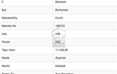 ERA SÖZ DEN BALIKESİR BURHANİYE KIZIKLI DA SATILIK ZEYTİNLİK