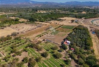 ERA SÖZ DEN BALIKESİR HAVRAN TEKKE DE SATILIK TARLA