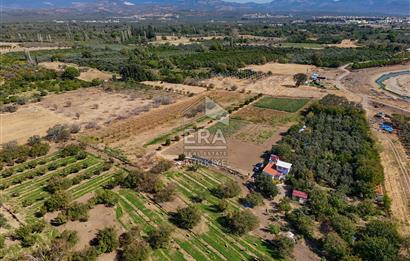 ERA SÖZ DEN BALIKESİR HAVRAN TEKKE DE SATILIK TARLA