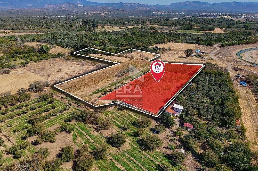 ERA SÖZ DEN BALIKESİR HAVRAN TEKKE DE SATILIK TARLA