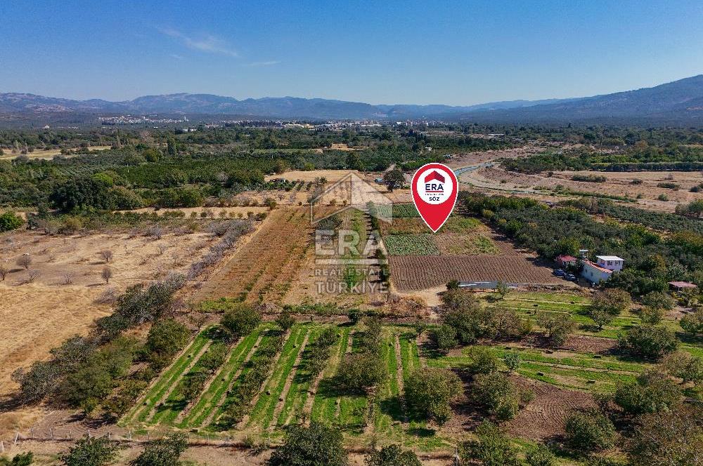 ERA SÖZ DEN BALIKESİR HAVRAN TEKKE DE SATILIK TARLA