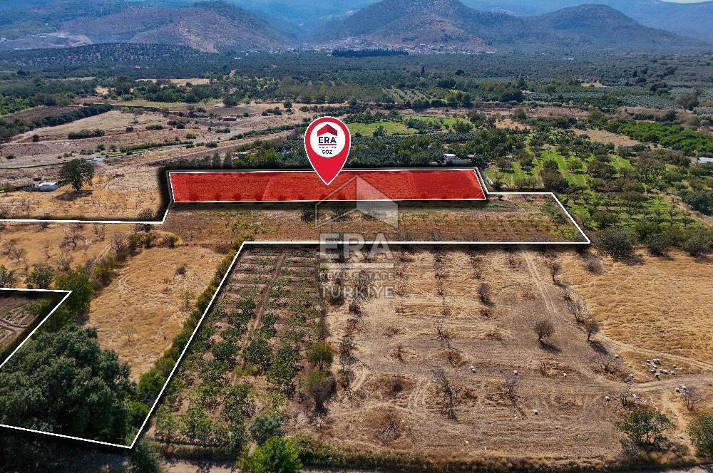ERA SÖZ DEN BALIKESİR HAVRAN TEKKE DE SATILIK TARLA