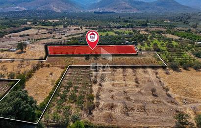 ERA SÖZ DEN BALIKESİR HAVRAN TEKKE DE SATILIK TARLA