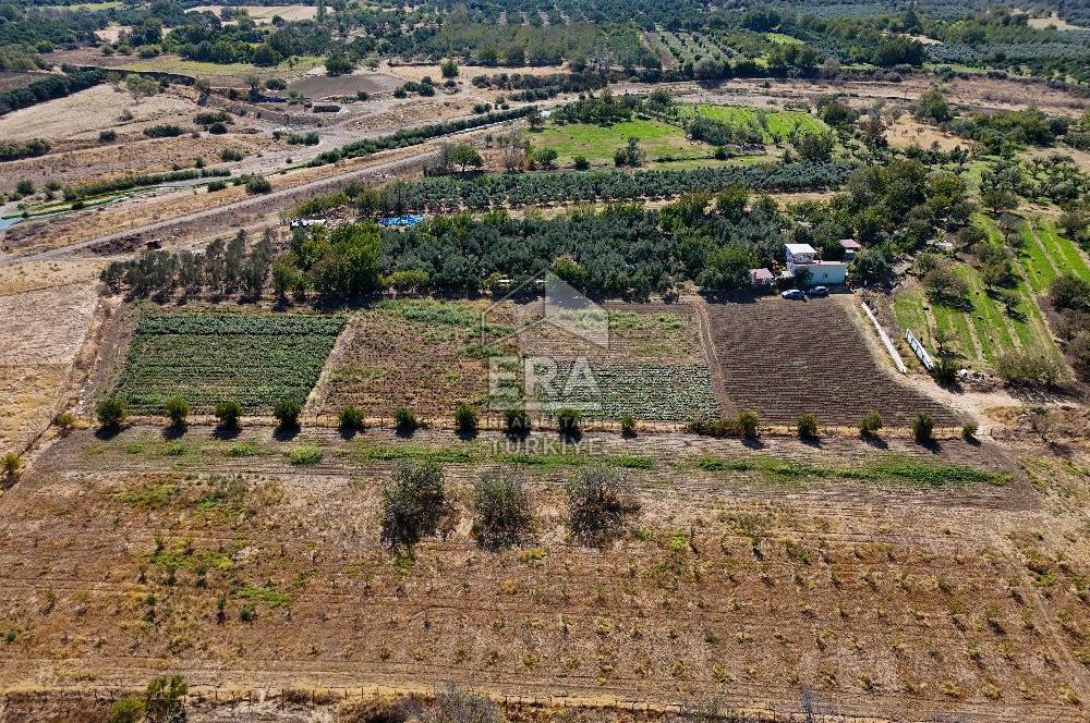ERA SÖZ DEN BALIKESİR HAVRAN TEKKE DE SATILIK TARLA