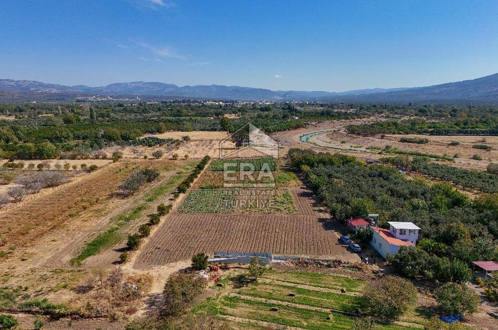 ERA SÖZ DEN BALIKESİR HAVRAN TEKKE DE SATILIK TARLA