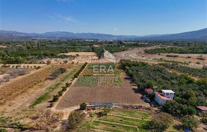 ERA SÖZ DEN BALIKESİR HAVRAN TEKKE DE SATILIK TARLA