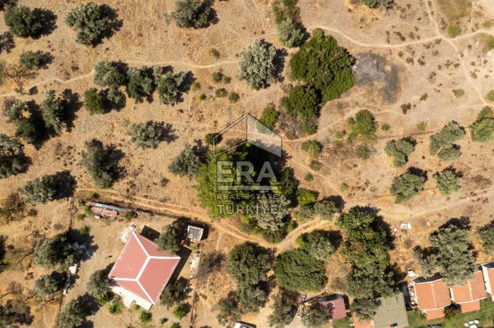 Datça Mesudiye Hayıtbükü'nde Satılık 1.459,78m2 Yatırımlık Tarla