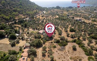 Datça Mesudiye Hayıtbükü'nde Satılık 1.459,78m2 Yatırımlık Tarla