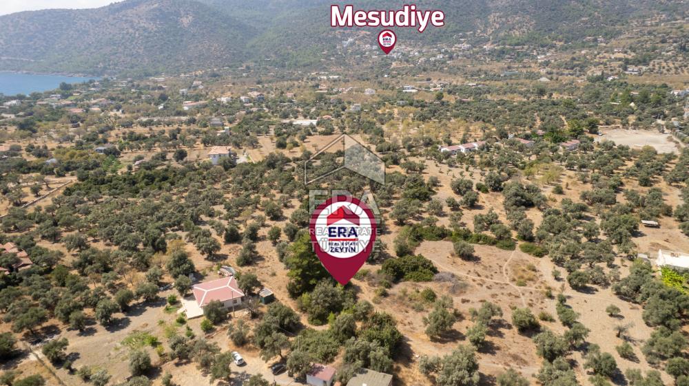 Datça Mesudiye Hayıtbükü'nde Satılık 1.459,78m2 Yatırımlık Tarla
