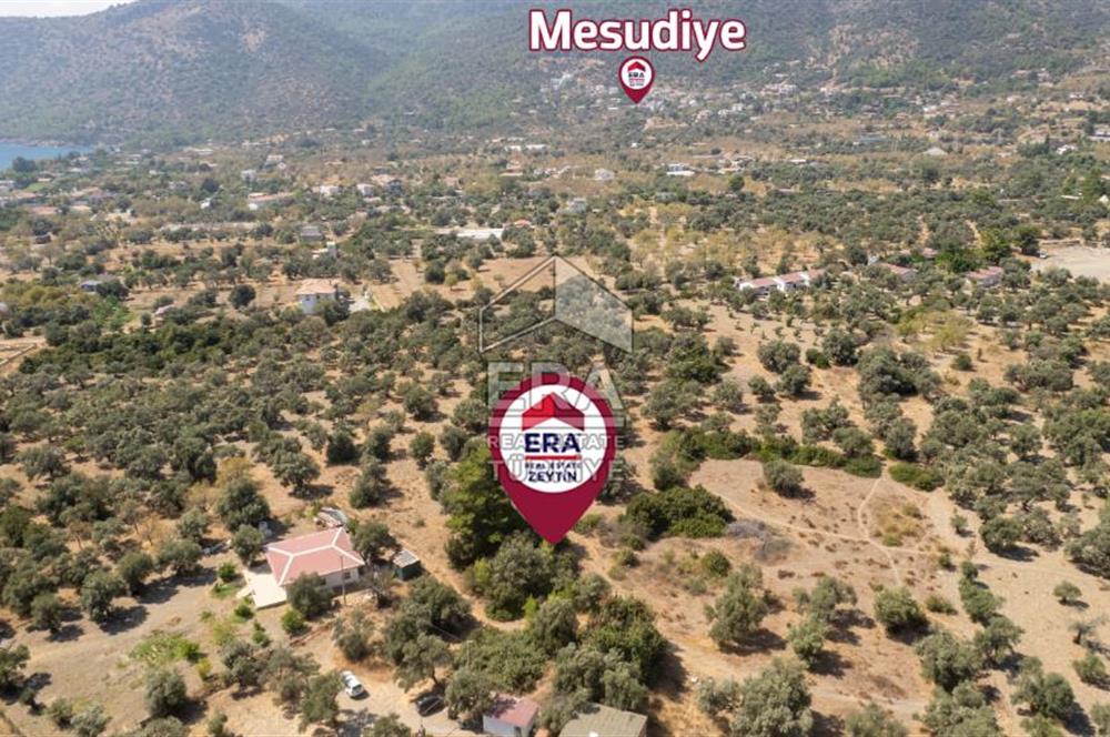 Datça Mesudiye Hayıtbükü'nde Satılık 1.459,78m2 Yatırımlık Tarla